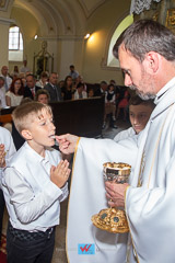 IMG_7314.jpg